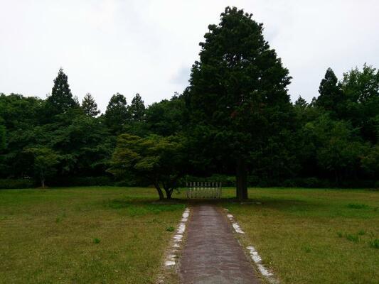 お手蒔き広場