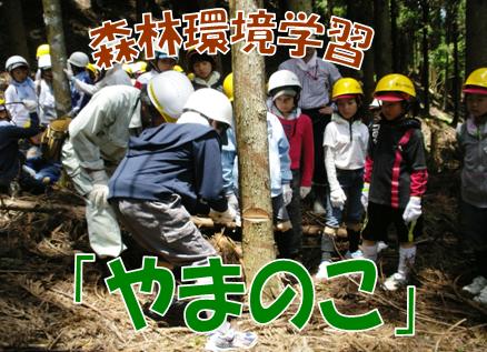 森林環境学習「やまのこ」