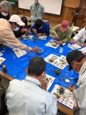 苔テラリウムづくりの様子