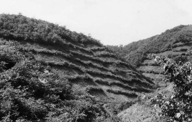 余呉町中河内(事業実施地)写真