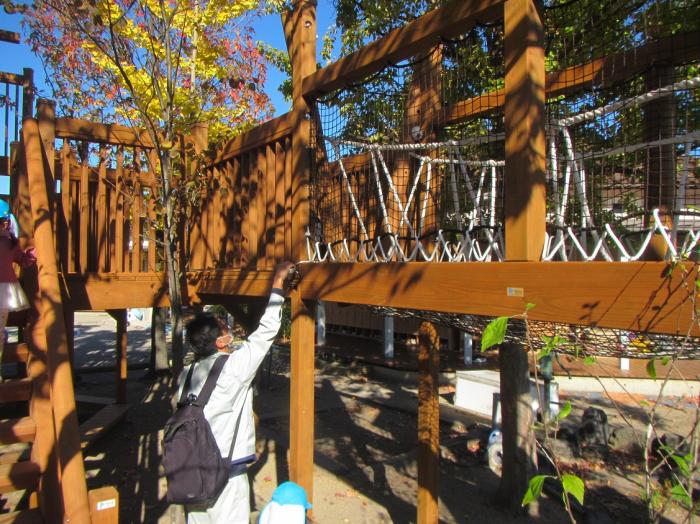 木製の遊具保育園やこども園などが、びわ湖材を利用した木製の遊具を導入されるのを支援しました。子供たちも木製遊具を気に入ってくれているようです。