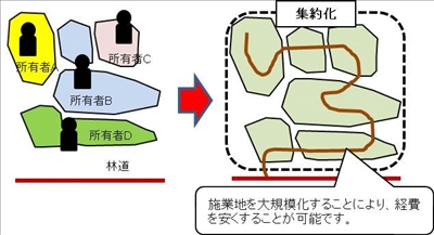 集約化を行い施業地を大規模化することにより、経費を安くすることが可能です。