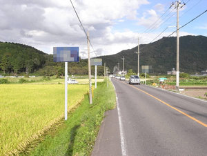 違反広告物が乱立して景観を阻害しています。