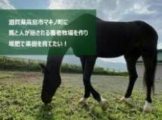 滋賀県高島市マキノ町に、馬と人が癒される養老牧場を作り、堆肥で果樹を育てたい