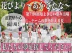 高知よさこい祭りに初出場!“花びより~あかさたな~”にご支援を