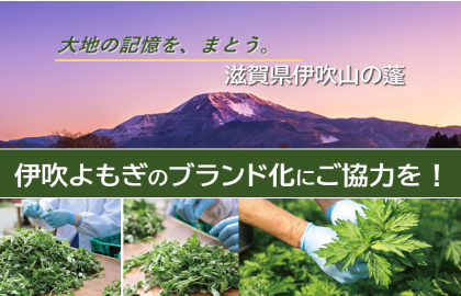 1000年の歴史が物語る伊吹山の香り高いよもぎを全国に向けブランド化したい
