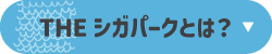 THE シガパークとは？