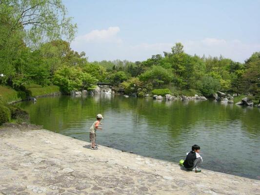 公園の写真1