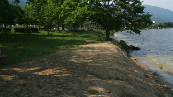 公園の写真1