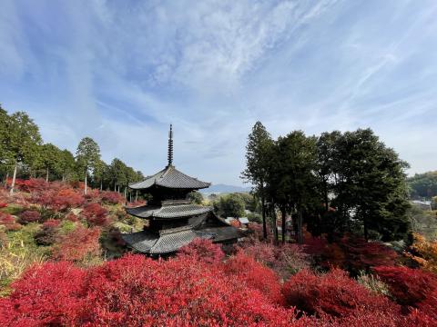 常楽寺