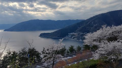 つづら尾崎展望台
