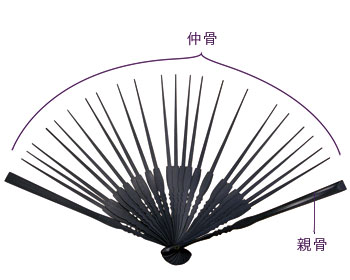 扇骨 仲骨 親骨
