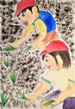 初めての田植え