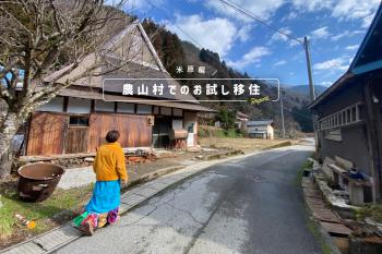 米原レポート