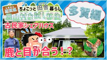 多賀