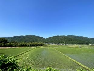 高島