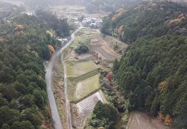走井の棚田