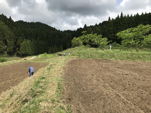 草刈り