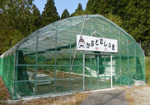 カブトムシの里