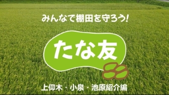 たな友