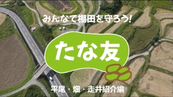 たな友