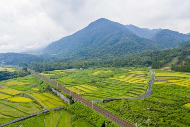 鵜川の棚田1