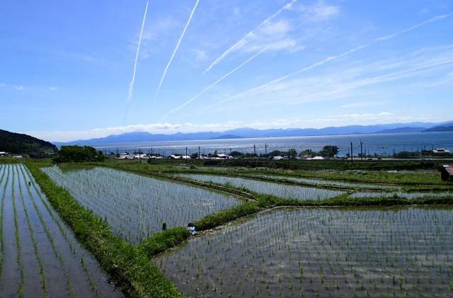 鵜川の棚田2