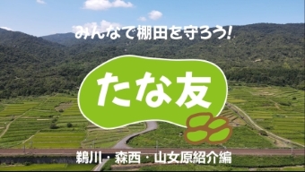 たな友