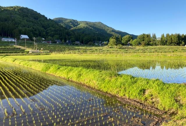 在原の棚田3