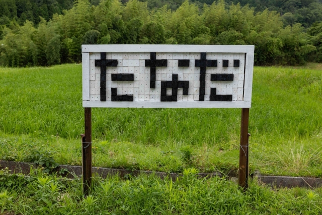 東寺の棚田3