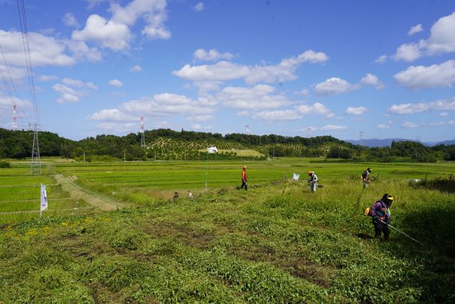今郷の棚田2