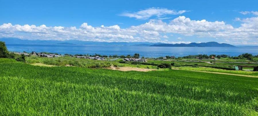 高島市鵜川の棚田から見る琵琶湖の風景