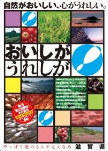 一般用