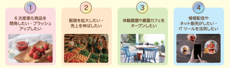 農山漁村発イノベーション・6次産業化のイメージ
