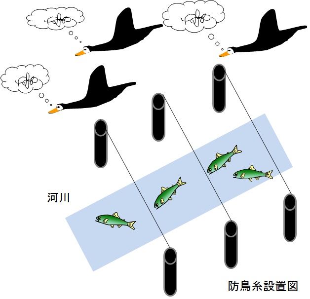 防鳥糸設置図