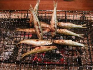 焼きモロコ