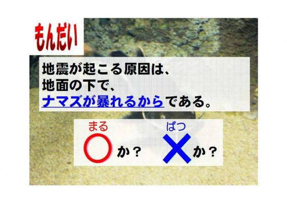 ○×クイズ問題例