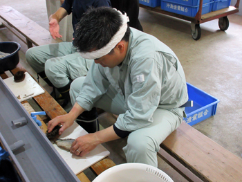 滋賀を代表する郷土料理“ふなずし”を漬ける作業を体験
