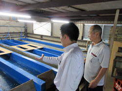 池田養魚場を訪れ、高度な技術が必要とされるイワナの養殖現場を視察