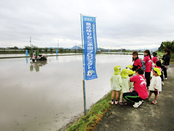 草津市志那中町で近江米「みずかがみ」の田植え