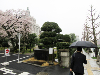 雨の中登庁する様子