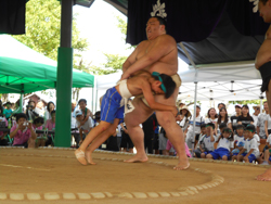 子どもたちが巨漢の力士にひるむことなく挑む姿