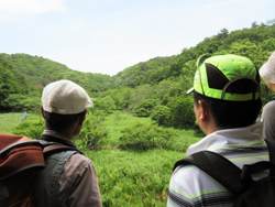 「山門水源の森」の様子