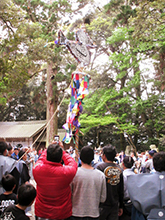 サギという大きな鉾につけられた「イナブロ」を見物人と警護役が取り合うやりとり