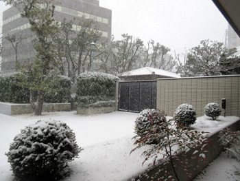 大津も雪景色