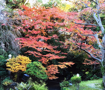 県公館の紅葉