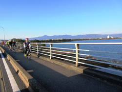 橋の上を自転車で走る様子