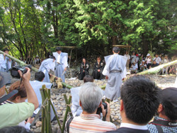 芋競べ祭り