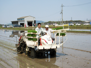 トラクターに乗り田植え体験を行う様子