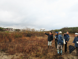木くずが不法投棄されていた鴨川河川敷の現場を視察